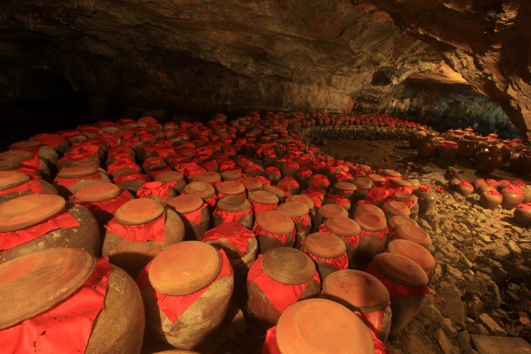 Tour Hoa Lư - Tam Cốc - Hang Múa - Bái Đính - Tràng An 2 Ngày 1 Đêm